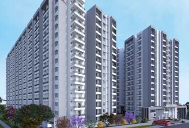 Best sales of 2 BHK apartments at DS-MAX SYNERGY!