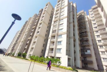 1203 Sq.Ft Flat with 2BHK For Sale in Kalkere Agara Main Road