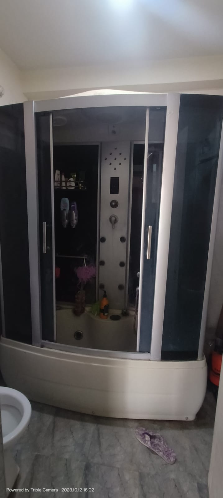 2 bhk flat for rent in tg lake vista